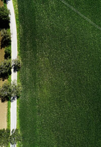 Glückswege - Erkheim - Glücksbaum-Pfad - Wald atmen