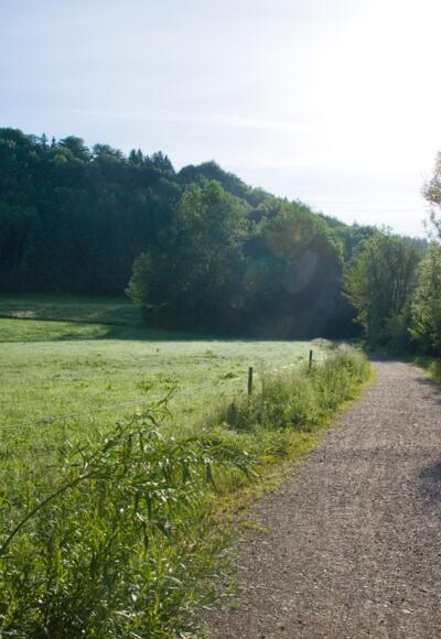 Wanderweg am Waldrand bei Rotkreuz