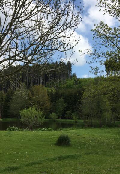 Fischweiher-Frauenkau