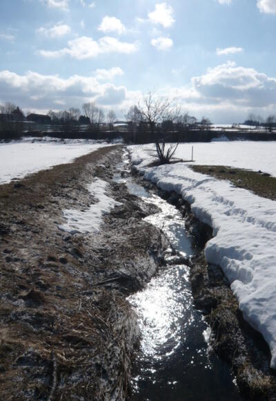 Bach bei Betzigau (2)