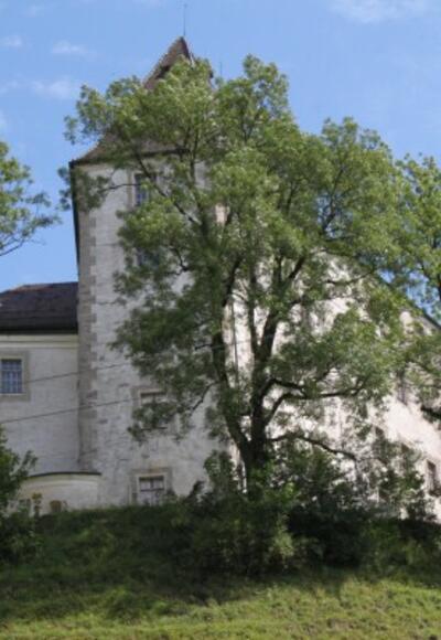 Hohes Schloss Bad Grönenbach