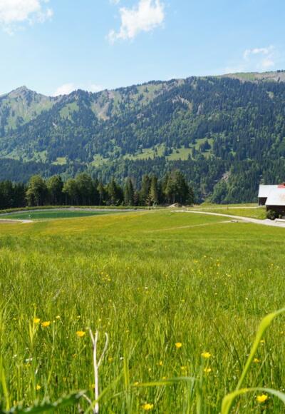 Gaisrücken bei Ofterschwang