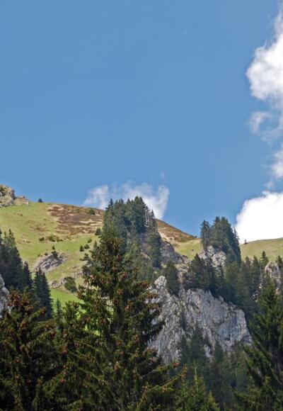 Blick zurück zum Grünten