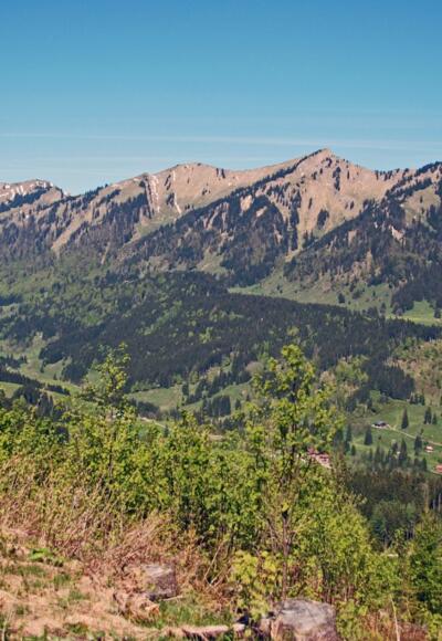 Blick auf die Nagelfluhkette