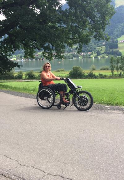 Elektrische Zughilfe Gray horse