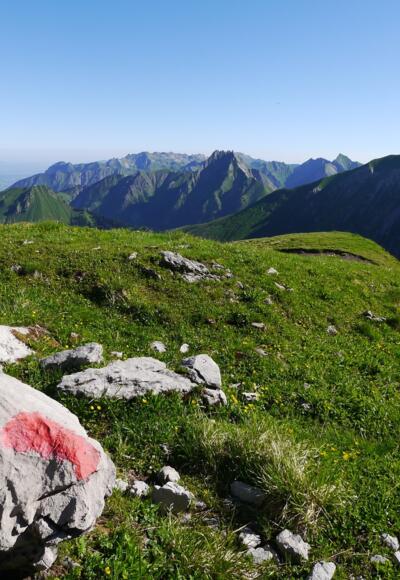 Am Fürschießersattel