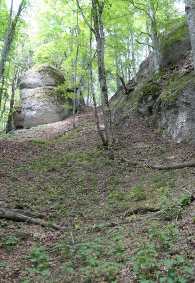 Breiter Graben vorm Schatzloch