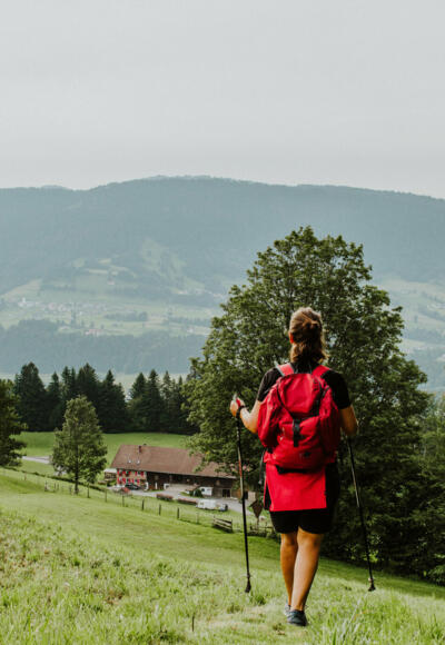 von Sulzberg Richtung Riefensberg (c) Nina Bröll / Vorarlberg Tourismus
