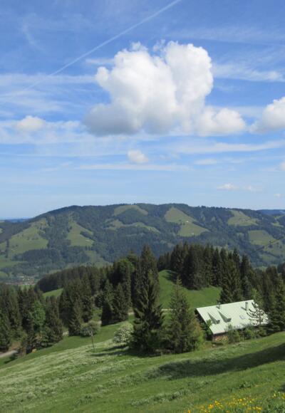 Obere Mittelberg-Alpe