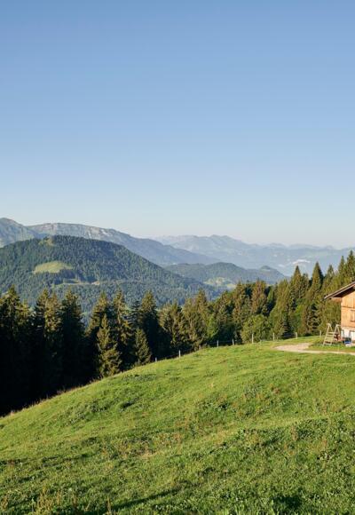 Alpe Schwarzenberger Platte im Lecknertal