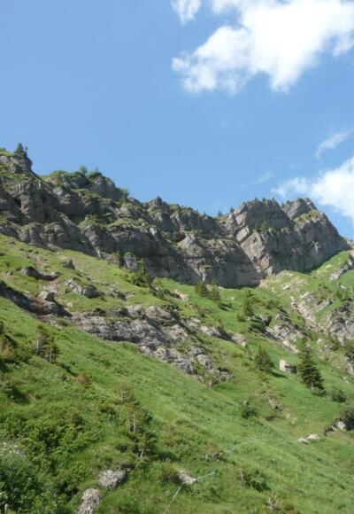 Hochgrat Nordseite Nagelfluhmassiv