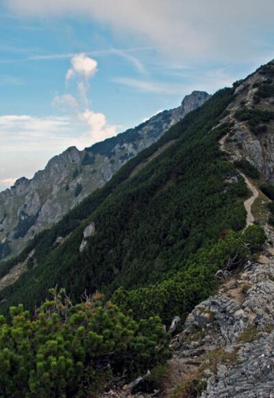 Das Rubihorn im Visier