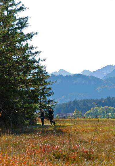 Tiefenberger Moos bei Ofterschwang