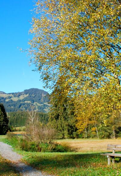 Tiefenberger Moos bei Ofterschwang