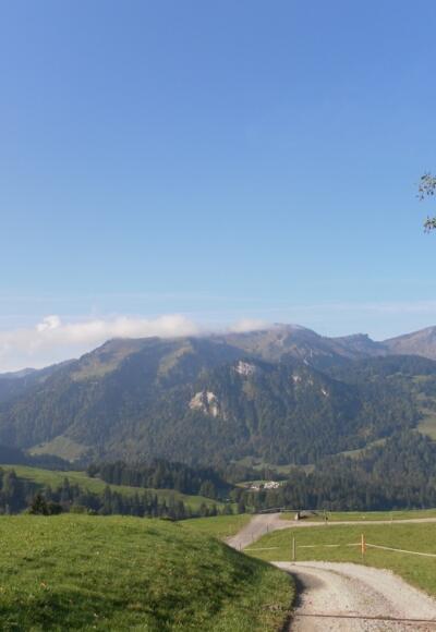 Blick auf die Winterstaude von Sibratsgfäll