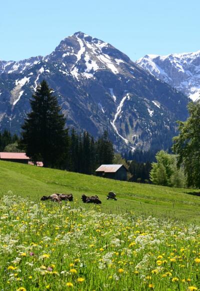Zum Strausbergsattel
