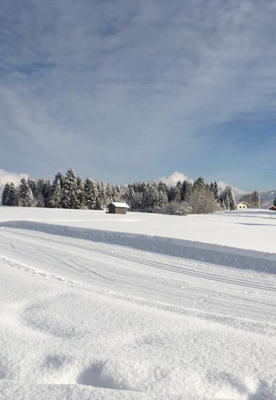 Bolsterlanger Dorfloipe