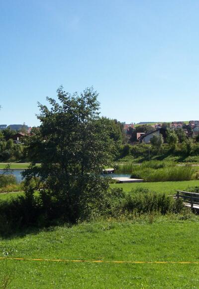 Badeteich von Obstwiese aus