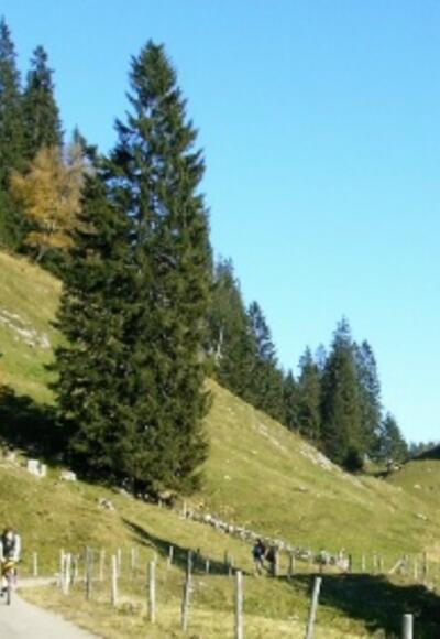 An den Bergen entlang führt unsere Tour.