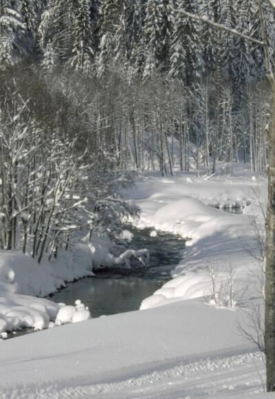 Winterwandern am Bolgenachweg