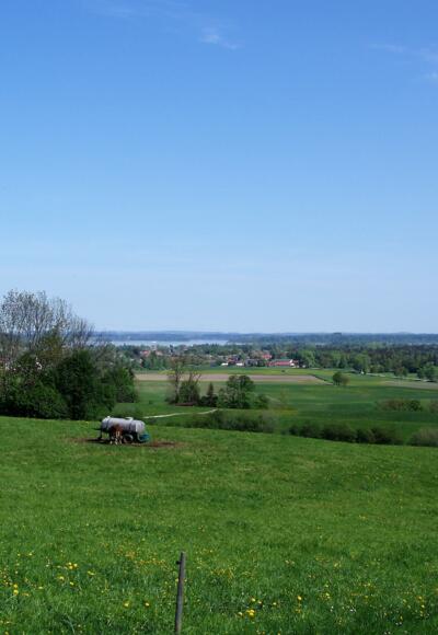 Blick auf das Bernauer Hochmoor