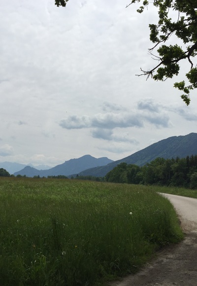 Von den Sterntaler Filzen Richtung Kleinholzhausen
