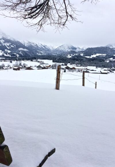 Wittelsbacher Höhe bei Schweineberg 