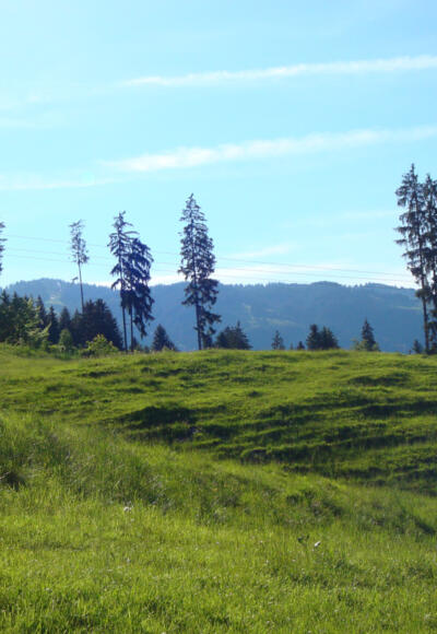 Weg zwischen Aumühle und Maderhalm