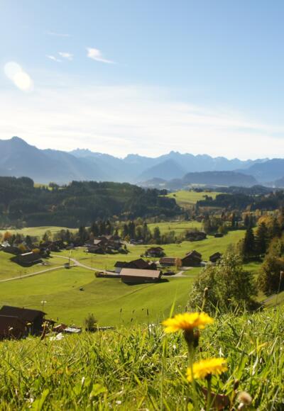 Aussicht vom Hüttenberber Eck auf den Allgäuer Hauptkamm