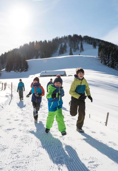 Winterspazieren um das Ofterschwanger Horn
