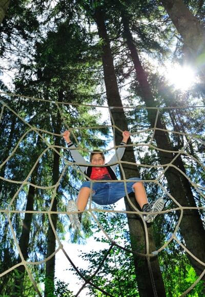 Netz im Kinderwald