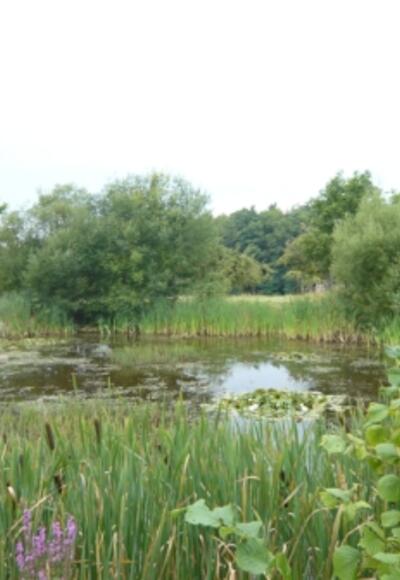 Biptop Sohl im Stadtteil Mechenhard