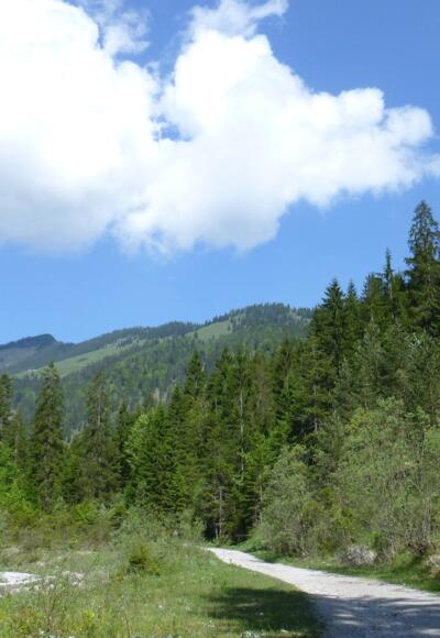 Im hinteren Gießenbachtal