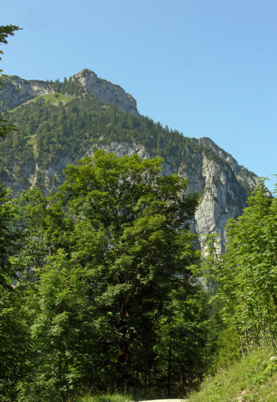 Weg auf den Breitenstein