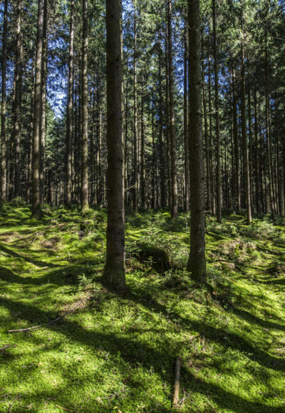 Wandern im Chiemsee-Alpenland