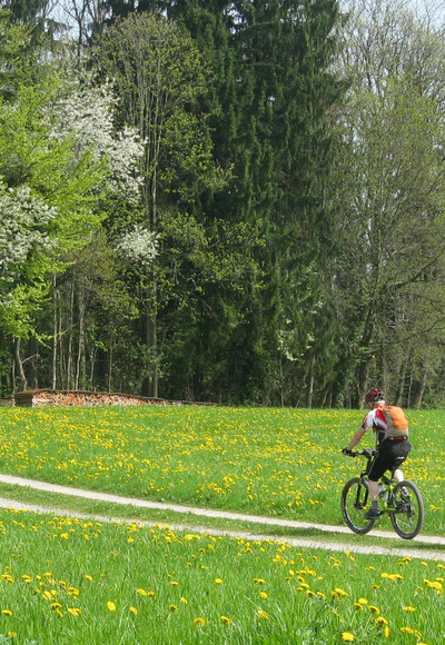 Immer wieder fahren wir an Kapellen vorbei, die eine gute Gelegenheit sind mal Einkehr zu halten!