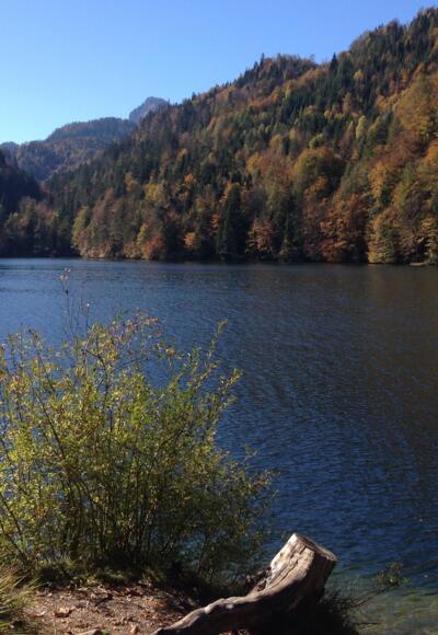 Hechtsee im Herbst