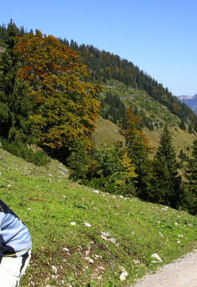 Mountainbiker im Leitzachtal, im Hintergrund der Wendelstein