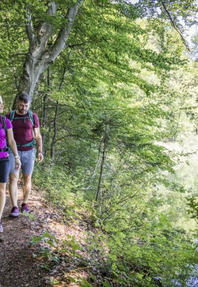 Wandern am Langbürgner See
