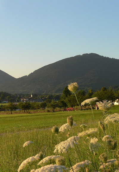 Morgenstimmung in Lippertskirchen