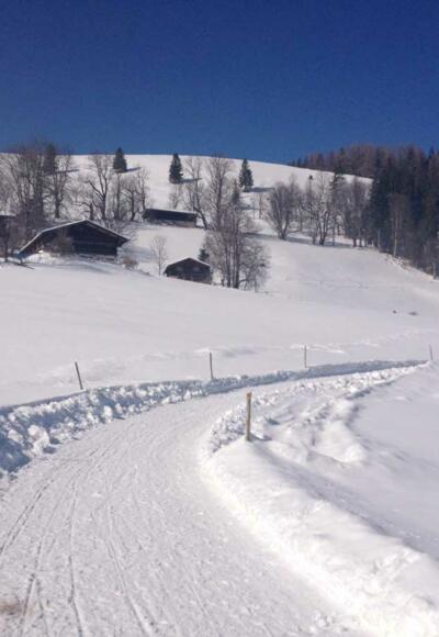 Rodeln im Chiemsee-Alpenland