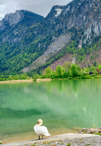 Kieferbach mündet in den Inn