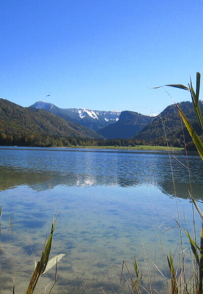 Blick vom Naturstrand auf den Hintersee