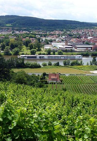 Vom Rotwein Wanderweg hat man stets einen schönen Blick aufs Maintal.