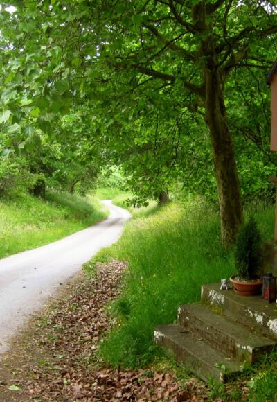 Marienbildstock "Weißes Bild"