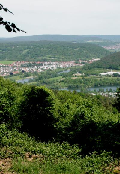 Aussicht nach Collenberg