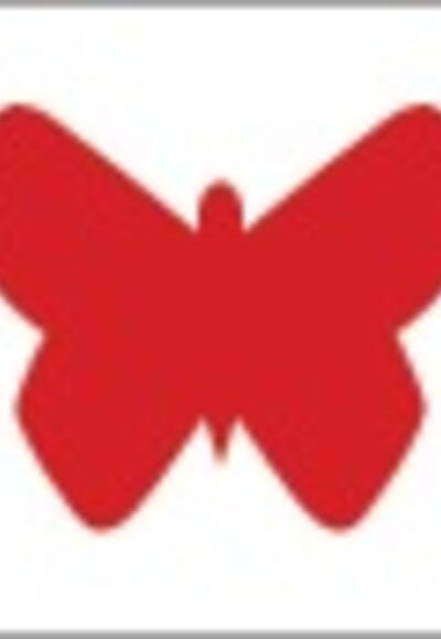 Wanderweg Schmetterling Klingenberg Churfranken