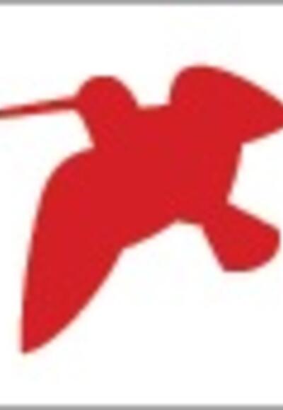 Wanderweg Schnepfe Klingenberg Churfranken