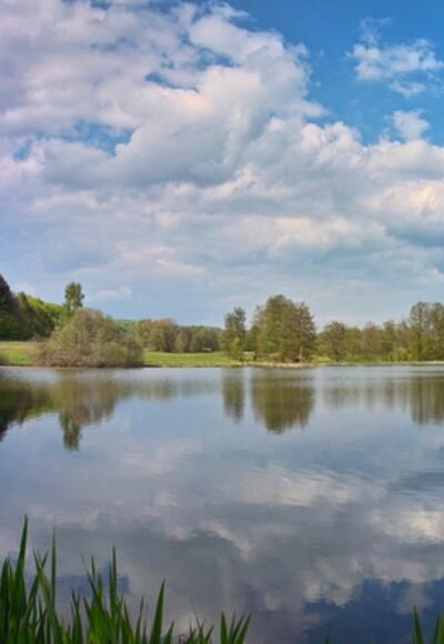 Roberner See Panorama