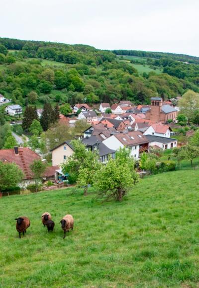 Aussicht auf Leidersbach